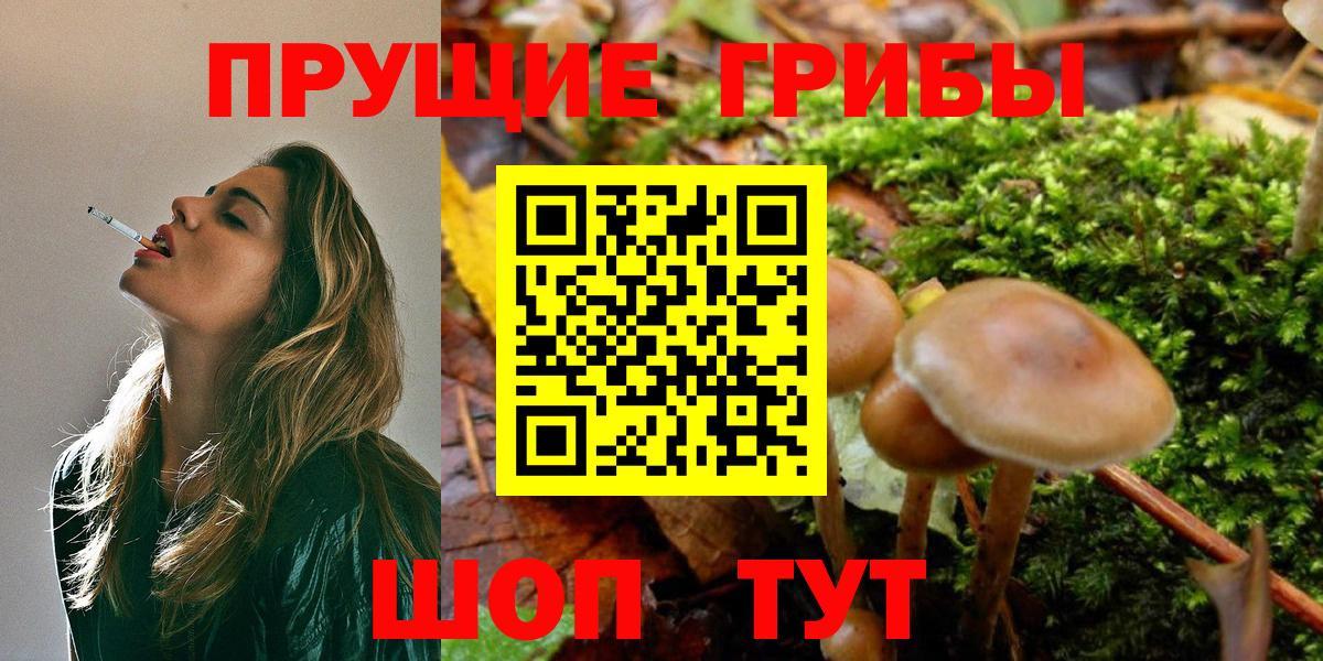 Псилоцибиновые грибы Magic Shrooms Наро-Фоминск